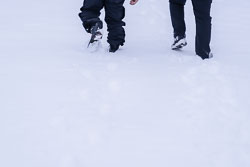211229-133501-04039.jpg 211229-133501-04039.jpg
