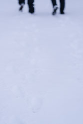 211229-133506-04041.jpg 211229-133506-04041.jpg