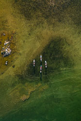 210605-193108-0782.jpg