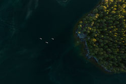 210605-203502-0876.jpg