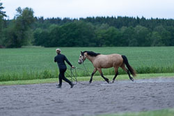 210623-135121-09114.jpg