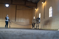 220327-horse