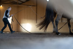 220327-horse