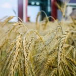 farming photographer - agriculture photographer - lantbruksfotograf - jordbrukfotograf - tornum fodertorkar, spannmålsanläggningar, grain industry