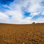 farming photography, agriculture photography, lantbruksfotografering, jordbrukfotografering, almnäs bruk, sverige, sweden, scandinavia, ekologiskt jordbruk, ekologiskt lantbruk, organic farming, organic, traktor, tractor