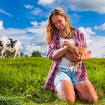 farming photography, agriculture photography, lantbruksfotografering, jordbrukfotografering, moster susannes ekoägg, äggproduktion, egg, egg production, organic, ekologisk