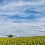 130714-1416-Redigera