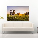 anhede-curious-cows-photo-art-public-space-hotel-lounge-web