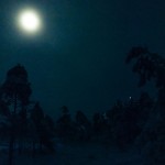 sweden-nature-outdoor-moonlight-forest