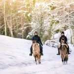 sweden-nature-outdoor-winter-riding-horses